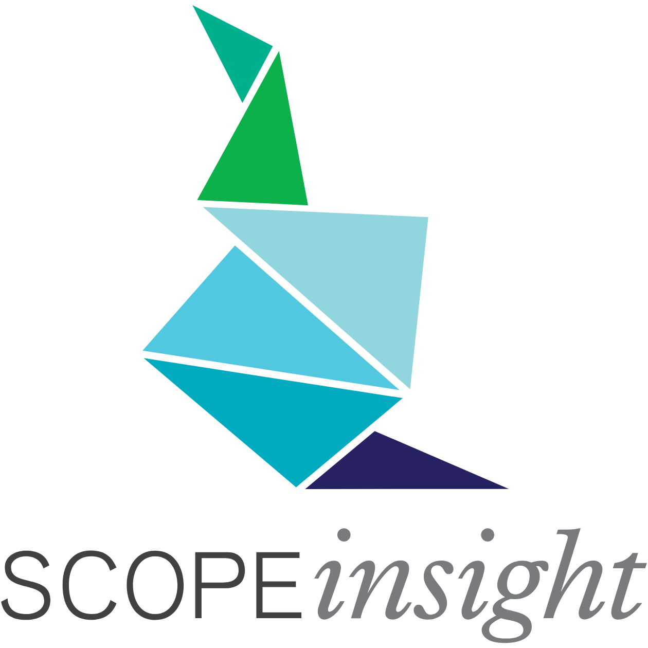 SCOPEInsight